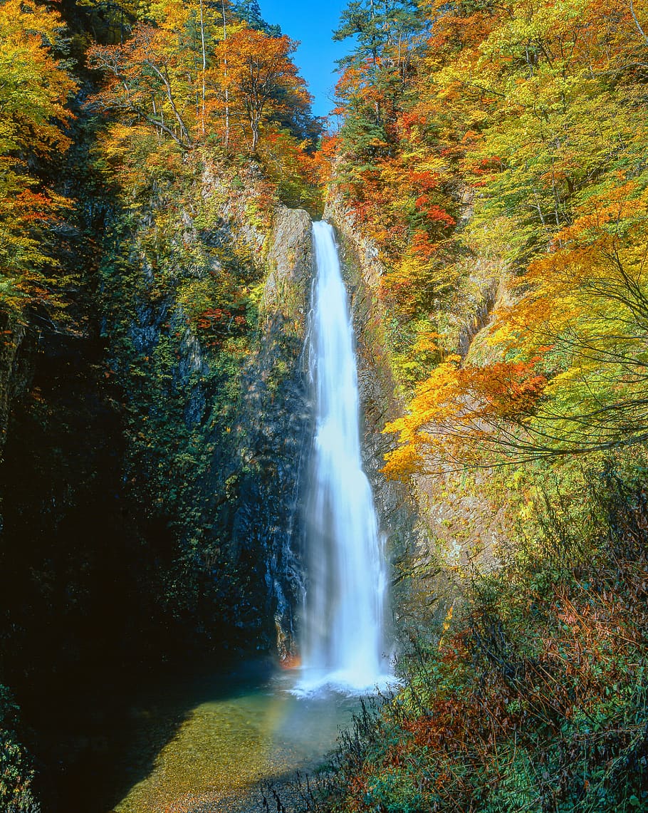 風景、 滝、 秋、 紅葉、 二番目の滝の暗い門、 しらかみさんち、 世界遺産地域、 日本