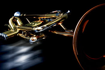 low-light, closeup, brass-colored trumpet, trumpet, musical instrument, wind instrument, gold, brass