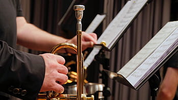 person, holding, brass trumpet, trumpet, music stand, music, brass band, wind instrument, musical instrument, hands, jazz