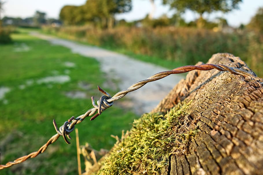 ostnatý drát, drát, ocel, plot, pošta, bariéra, bolestivý, barb wire