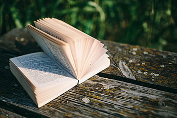 danau, buku bacaan, musim panas, istirahat, buku, santai, waktu, malam, jam ajaib, buku terbuka, sastra