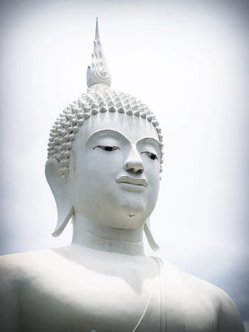 buddha, india, mind, prayer, concept, buddhist, buddhism, budda, posture, thailand, meditating