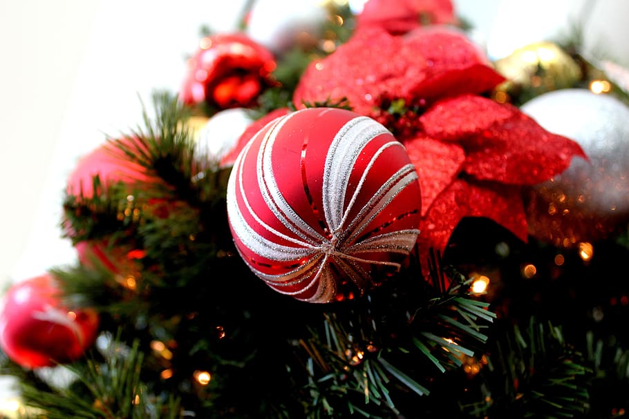mevsimlik, Noel, dekorasyon, kutlama, Havva, ağaç, kırmızı, sezon, taşaklar, Noel süsleri, tatil