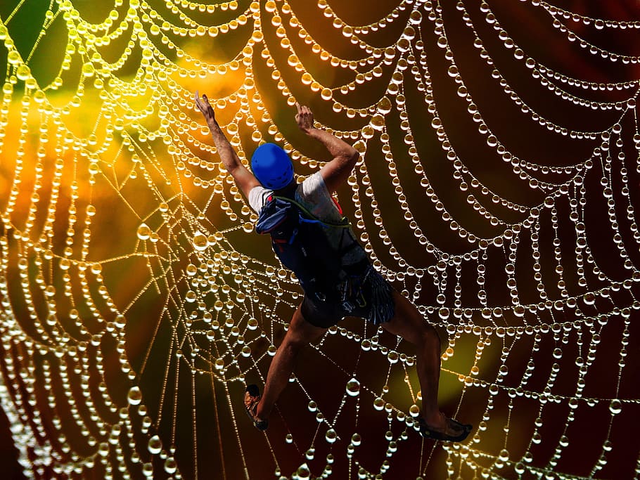 fantasy, cobweb, mountaineer, pattern, beaded, drop of water