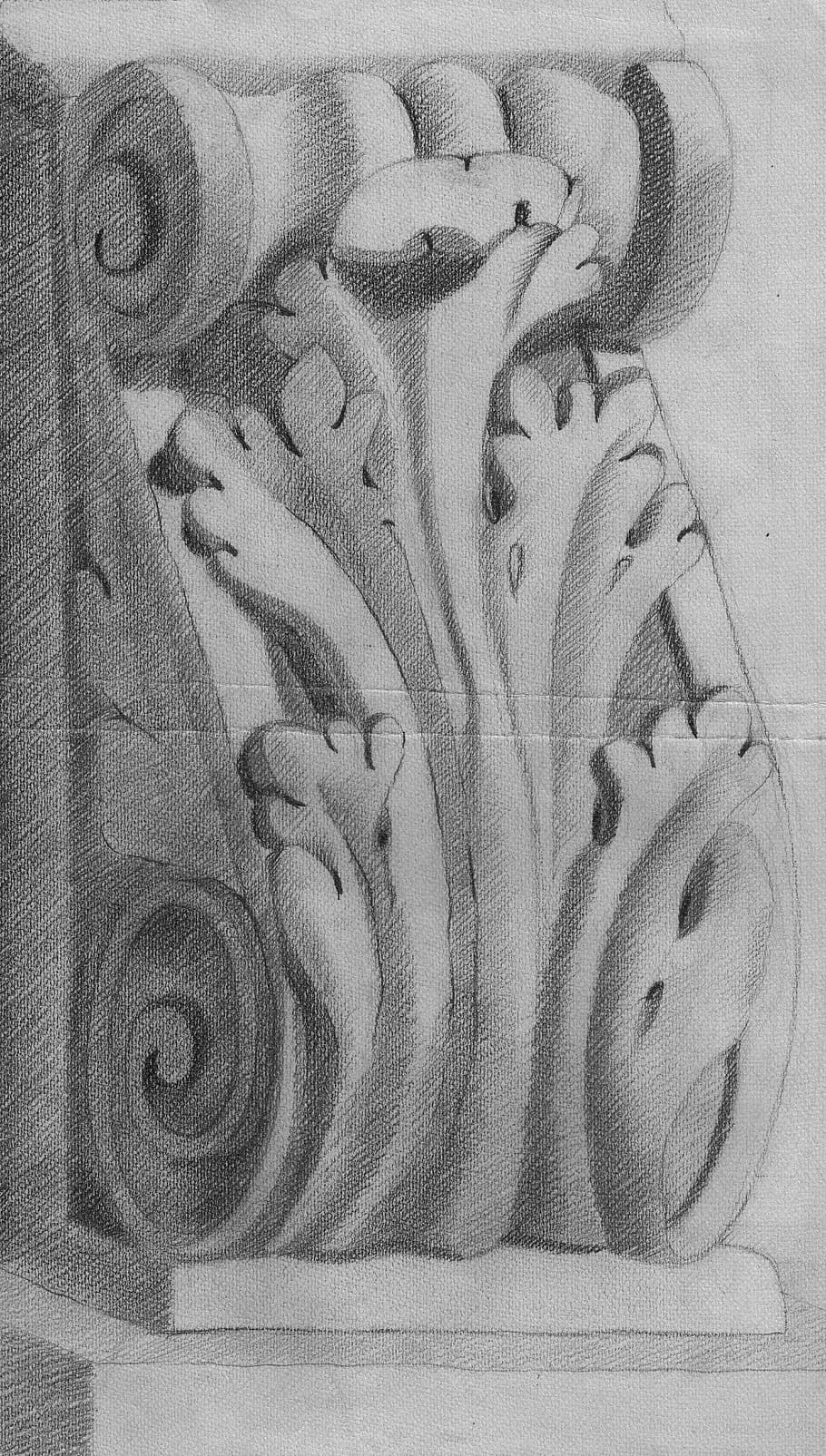 ornament, capital, relief, arabesque, curlicue, architecture, furniture, carving, stucco, church, church jewelry