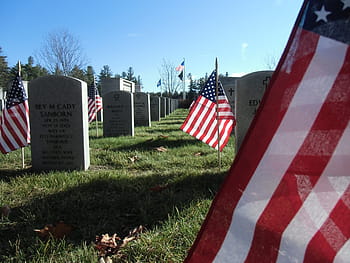 us, memorial, daytime, cemetery, graveyard, memorial markers, veterans, grave, tombstone, war, veteran