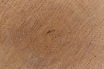 tree, ring, background, closeup, wood, aged, cut, log, texture, wallpaper, cracked