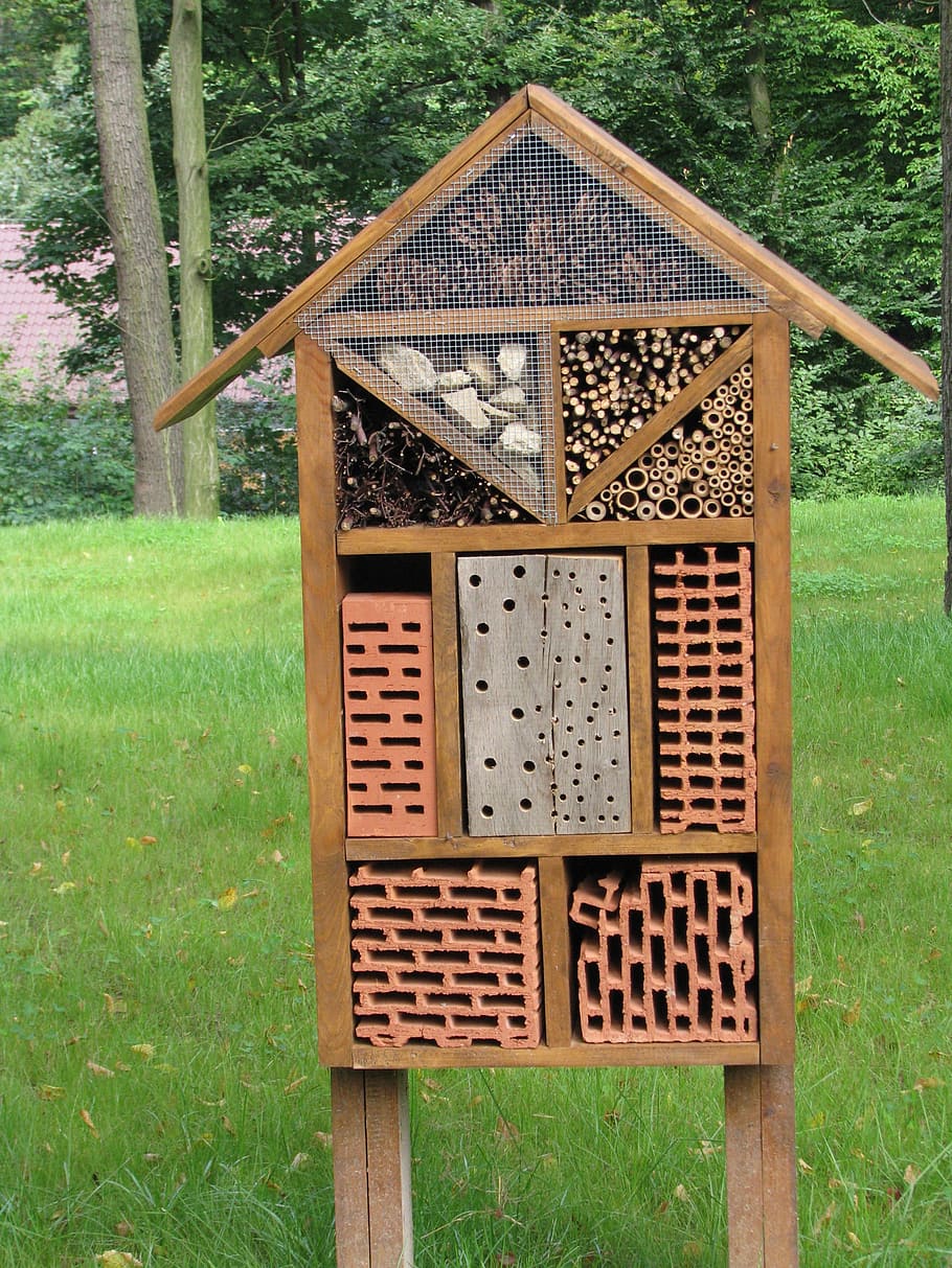 hmyz dům, bug hotel, zoo v Krakově, dřevěný, ekologie, přírodní, ochrana, volně žijících živočichů, přístřeší, zahrada, biodiverzity