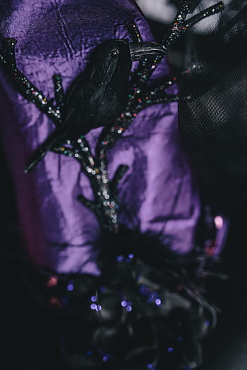 decorações de halloween, dia das bruxas, decorações, outono, crânio, assustador, preto cor, moda, mulheres, roxo, flor