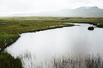 zelená, travnaté hřiště, vedle, tělo, voda, krajina, fotografování, jezero, u, pastviny, během dne