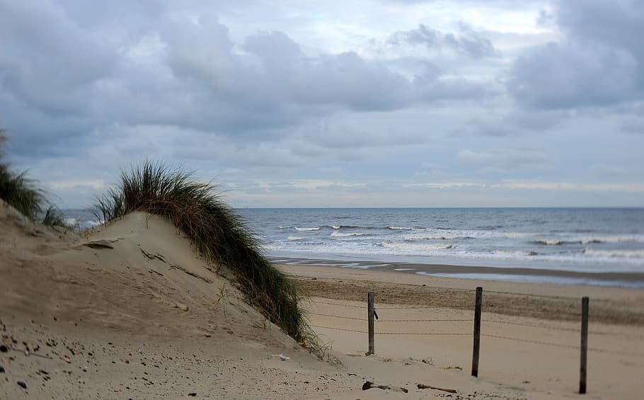 marram trávy, duna, duny, pláž, Nizozemí, Severní moře, písek, moře, Příroda, krajina, pobřežní čára