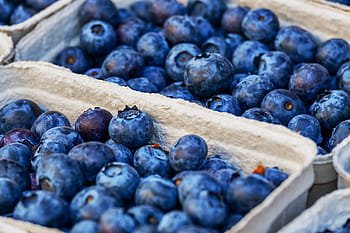 pile, fruits, basket, blueberries, berries, blue, fruit, delicious, healthy, food, vitamins