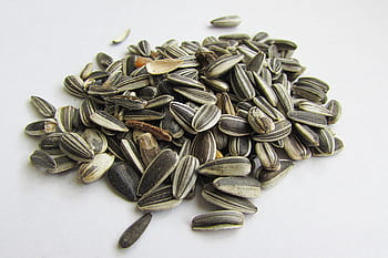 pile of seeds, sunflower seeds, shell, cores, food