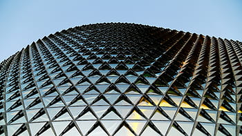 worm, eye-view, building, stadium, glass, roof, architecture, modern, art, structure, lines