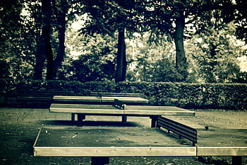 photography, empty, table tennis tables, yard, gray, scale, three, tabletennis, ping pong, table tennis, net