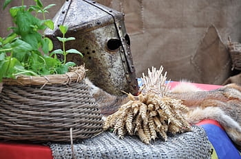 brown, rice grain, table, wicker pot, knight, armor, helmet, weapons, sword, knight armor, medieval