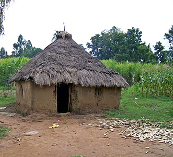 hut, kenya, africa, clay, primitive, architecture, tribe, rural Scene, thatched Roof, cultures, village
