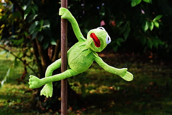 kermit, frog, plush, toy, pole dance, funny, soft toy, animal, toys, stuffed animal, frogs