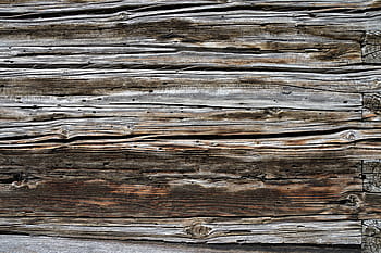 šedé dřevo log, šedé dřevo, log, textura, dřevo, zvětralý, opláchnout, dřevěná konstrukce, obilí, struktura, Pozadí
