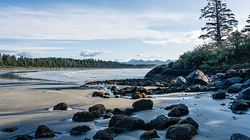 pláž, tofino, ostrov Vancouver, Britská Kolumbie, Příroda, písek, krajina, Kanada, voda, moře, pobřeží