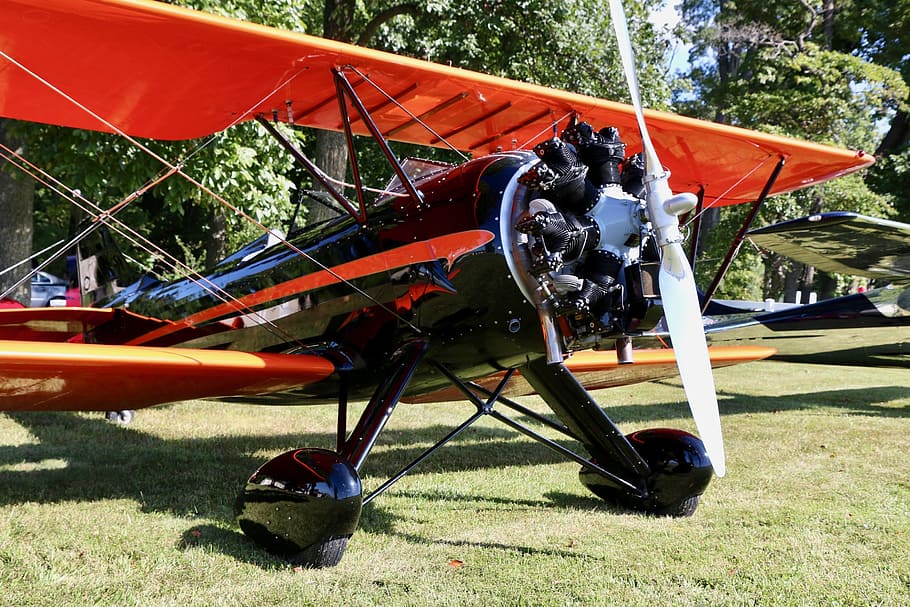 warbird, letoun, letectví, letadlo, vrtule, vinobraní, bojovník, let, letiště, křídla, klasický