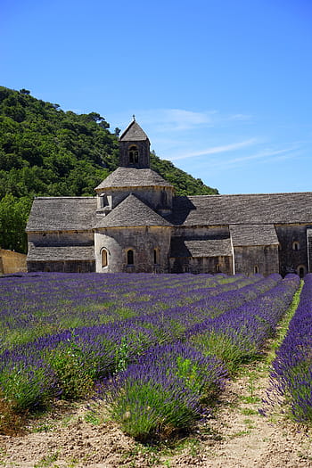 abbaye de sénanque, monastery, abbey, notre dame de sénanque, the order of cistercians, gordes, vaucluse, france, cistercian monks, sénanque abbey, zisterzienser