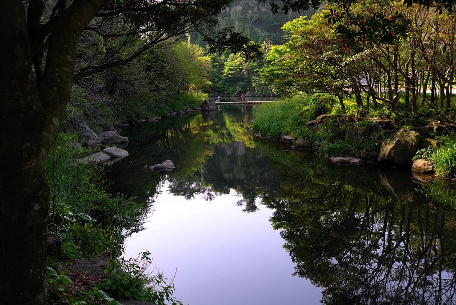 the body of water, nature, waterfall, river, scenery, water, rock, travel, jeju, jeju island, seogwipo