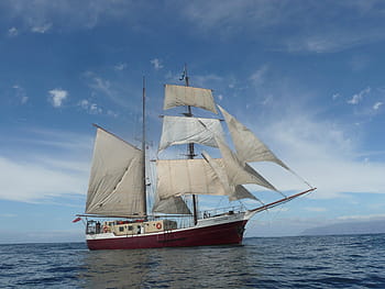 rød, hvid, sejlbåd, blå, himmel, højt skib, hav, sejle, skib, båd, nautiske