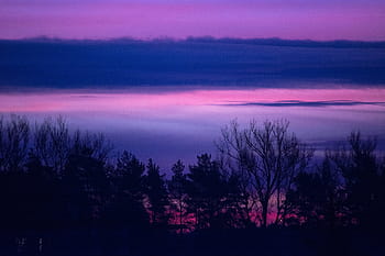 tree silhouette photography, sunset, photography, sunrise, dawn, morning, landscape, nature, trees, sky, clouds