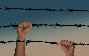 persona, arrampicata, spinato, filo, mani, filo spinato, catturato, guerra, un prigioniero di guerra, liberazione, piangere