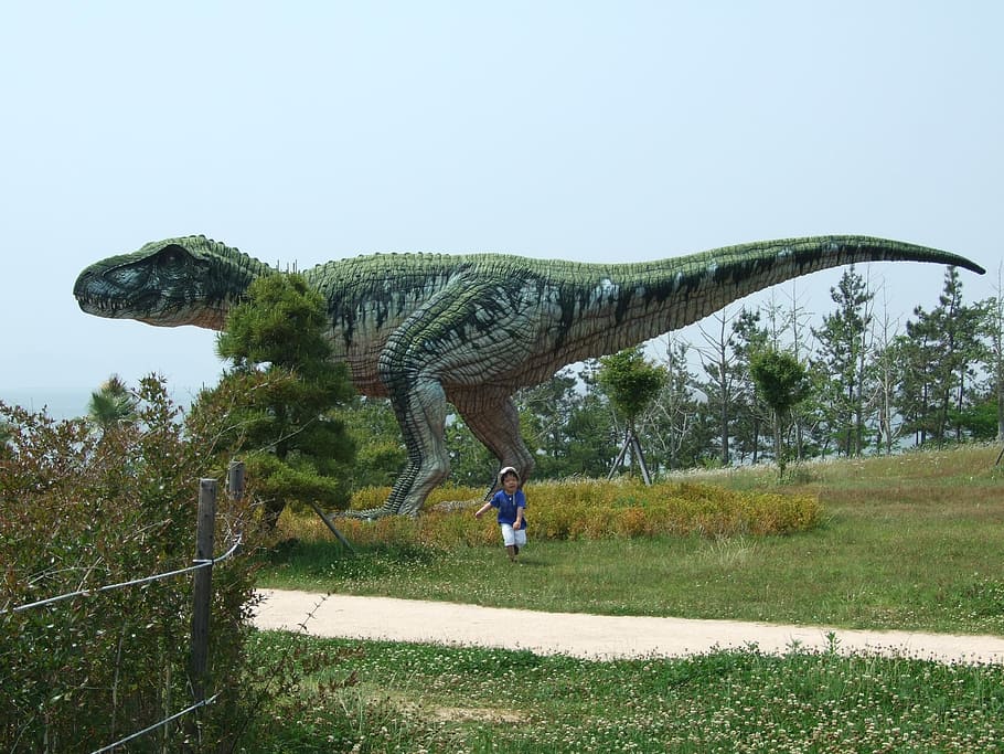museo dei dinosauri, dinosauri, erbivoro, carnivoro