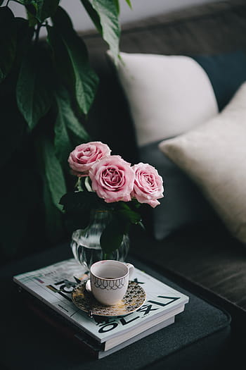 素敵な、 roseses、 本、 コーヒー、 バラ、 インテリア、 休憩、 リラックス、 必需品、 読書、 時間