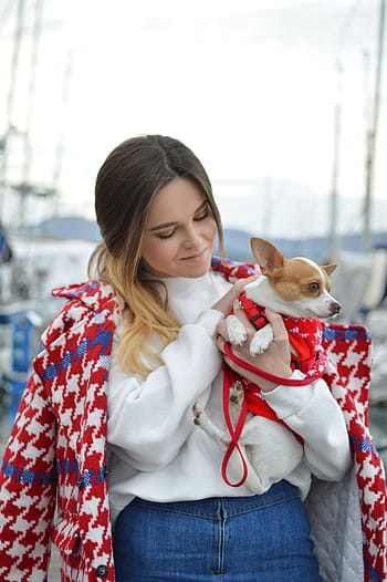 woman holding chihuahua, people, girl, woman, dog, puppy, pet, animal, leash, pets, one animal