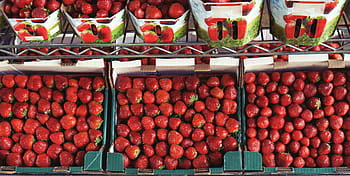 aerial, view photography, strawberries, display rack, bulk, boxes, strawberry, fruits, market, food, food and drink