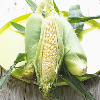 corn, maize, vegetable, plant, food, yellow, sweet corn, healthy, foods, sweetcorn, crops
