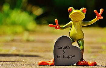 green, frog, ceramic, figurine, funny, laugh, cheerful, happy, positive, smile, live