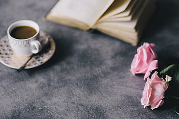 indah, mawar, buku, kopi, interior, istirahat, bersantai, penting, membaca, waktu, mawar merah muda