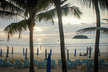 tropical beach, palm trees, ocean, seashore, people, umbrellas, chaise chairs, resort, kata-noi, phuket, thailand