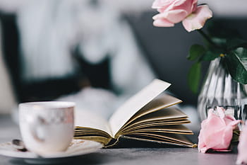 素敵な、 roseses、 本、 コーヒー、 バラ、 インテリア、 休憩、 リラックス、 必需品、 読書、 時間