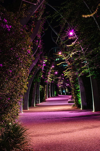 haven gangen, nat, Southbank, park, brisbane, Queensland, Australien, lys, vand, træer, syd