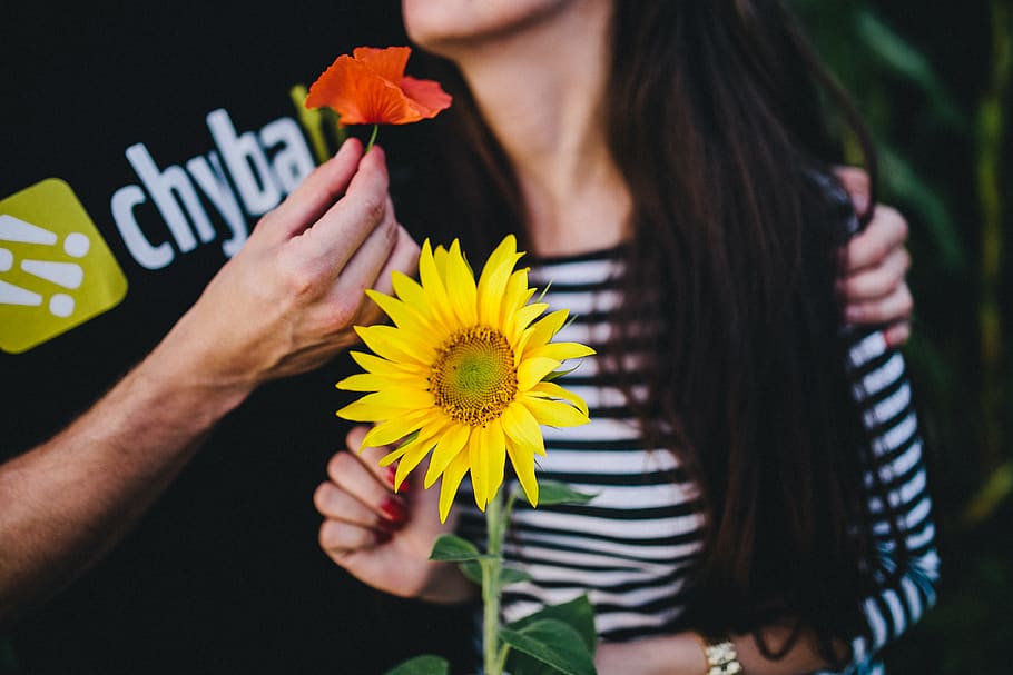girl, summer, woman, flower, flowers, flora, yellow, man, boy, couple, love