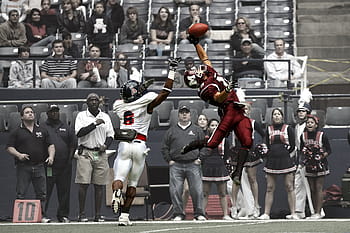 nfl players, coaching staffs, football, players, action, game, reception, receiver, acrobatic, sport, american football player