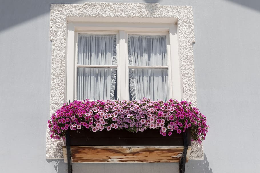 window, house, old, floral decorations, architecture, building, facade