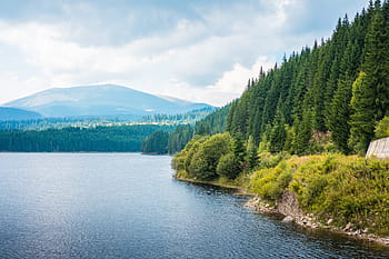 scenario di foreste, riva del lago, foreste, scenario, Romania, nuvole, nuvoloso, costa, foresta, verde, colline