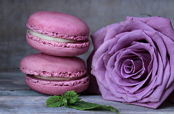 purple, rose, two, pink, macaroons, macarons, floribunda, rose bloom, mint, pastries, french pastries