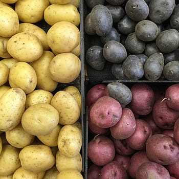 brambor, zelenina, Černá ovce, brambory, velká skupina objektů, Zdravé stravování, jídlo a pití, ovoce, jídlo, hojnost