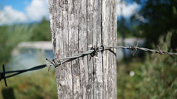 fence, wire, wire mesh fence, garden fence, wire mesh, mesh wire fence, pile, blocked, fence post