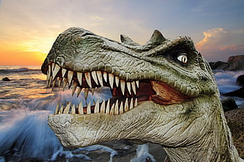 wallpaper dinosaurus abu-abu, dinosaurus, dino, kadal raksasa, zaman prasejarah, t rex, dinosaurus karnivora, tyrannosaurus rex, predator, hagbard, karnivora