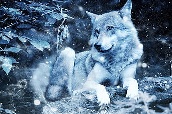 white, wolf, animal, predator, art, vintage, snow, nature, scrapbooking, paper, texture