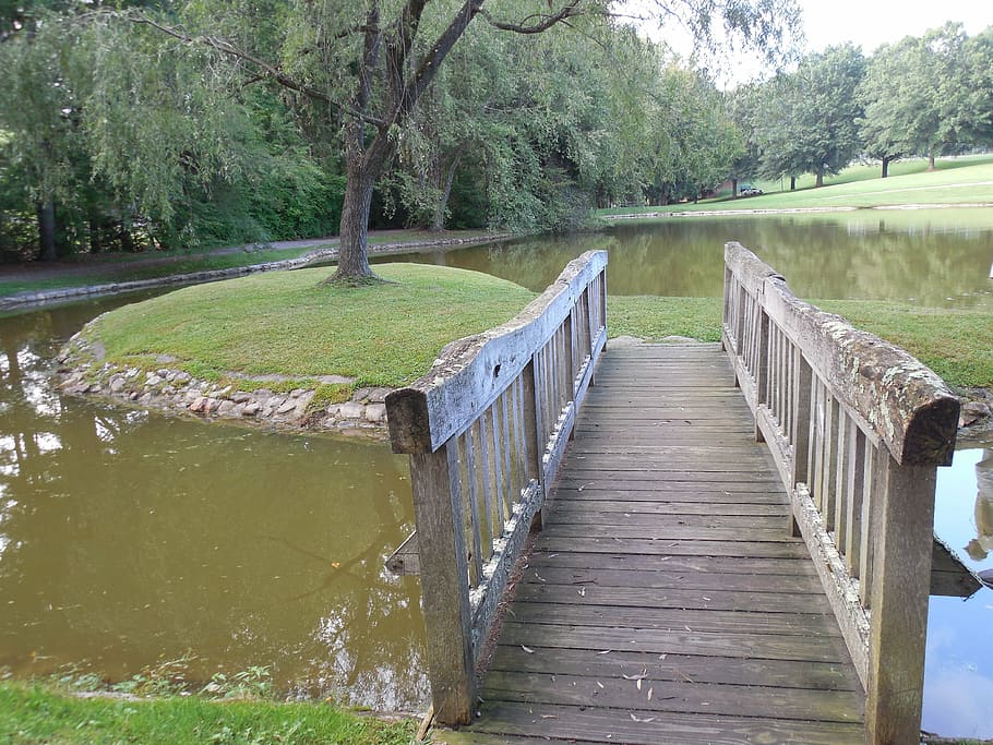 wooden bridge, lake, wooden, bridge, water, wood, landscape, travel, park, green, summer